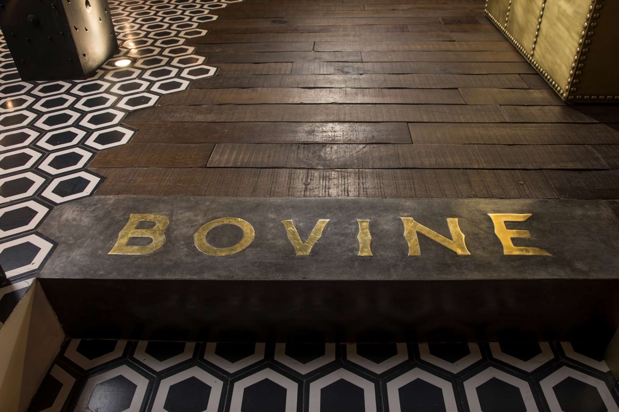 bovine-gallery_9